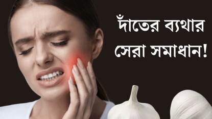 দাঁতের ব্যথা থেকে সর্দি কাশি, একাধিক সমস্যায় মুক্তি দেবে রসুন! গন্ধের জন্য খেতে পারছেন না? তারও উপায় রইল দাঁতের ব্যথা থেকে সর্দি কাশি, একাধিক সমস্যায় মুক্তি দেবে রসুন! গন্ধের জন্য খেতে পারছেন না? তারও উপায় রইল
