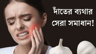 দাঁতের ব্যথা থেকে সর্দি কাশি, একাধিক সমস্যায় মুক্তি দেবে রসুন! গন্ধের জন্য খেতে পারছেন না? তারও উপায় রইল দাঁতের ব্যথা থেকে সর্দি কাশি, একাধিক সমস্যায় মুক্তি দেবে রসুন! গন্ধের জন্য খেতে পারছেন না? তারও উপায় রইল