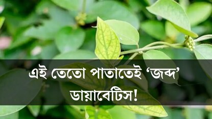 এই তেতো পাতায় জব্দ হবে ডায়াবেটিস! জেনে নিন কীভাবে খেতে হবে? এই তেতো পাতায় জব্দ হবে ডায়াবেটিস! জেনে নিন কীভাবে খেতে হবে?