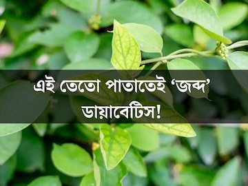 এই তেতো পাতায় জব্দ হবে ডায়াবেটিস! জেনে নিন কীভাবে খেতে হবে?