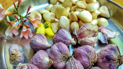 হিমালয়ান গার্লিকের উপকারিতা হিমালয়ান গার্লিকের উপকারিতা