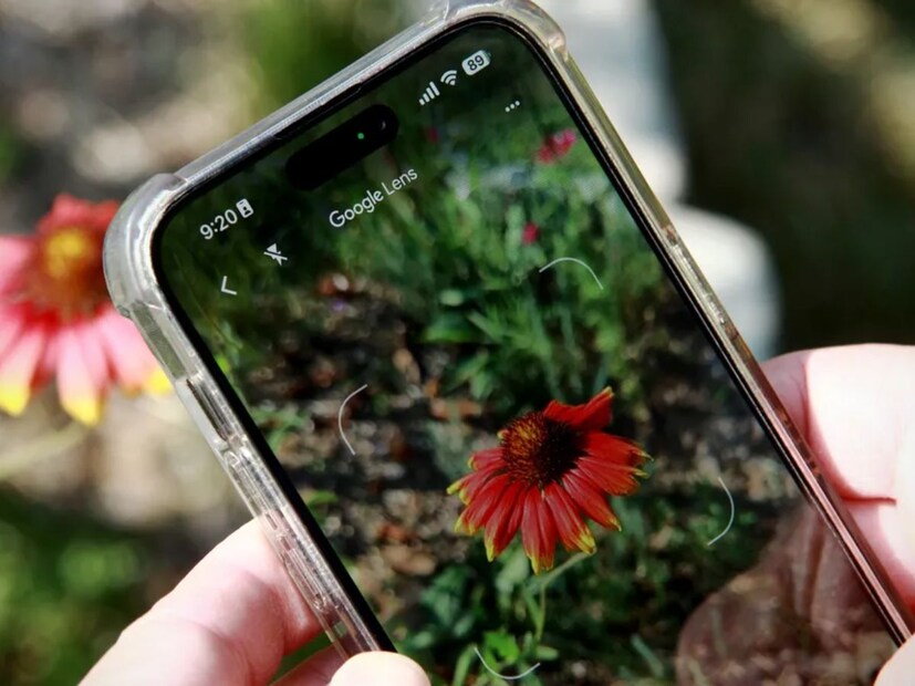 ৩. ত্বক পরীক্ষা—Google lens ত্বকের অবস্থাও পরীক্ষা করতে পারে। ফলে স্বাস্থ্যের বিষয়টি বোঝা প্রাথমিক ভাবে সহজ হয়।
