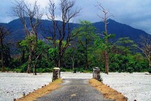 ডুয়ার্সে পর্যটন বাড়াতে অভিনব ভাবনা, দেখুন চলছে কীসের ট্রেনিং