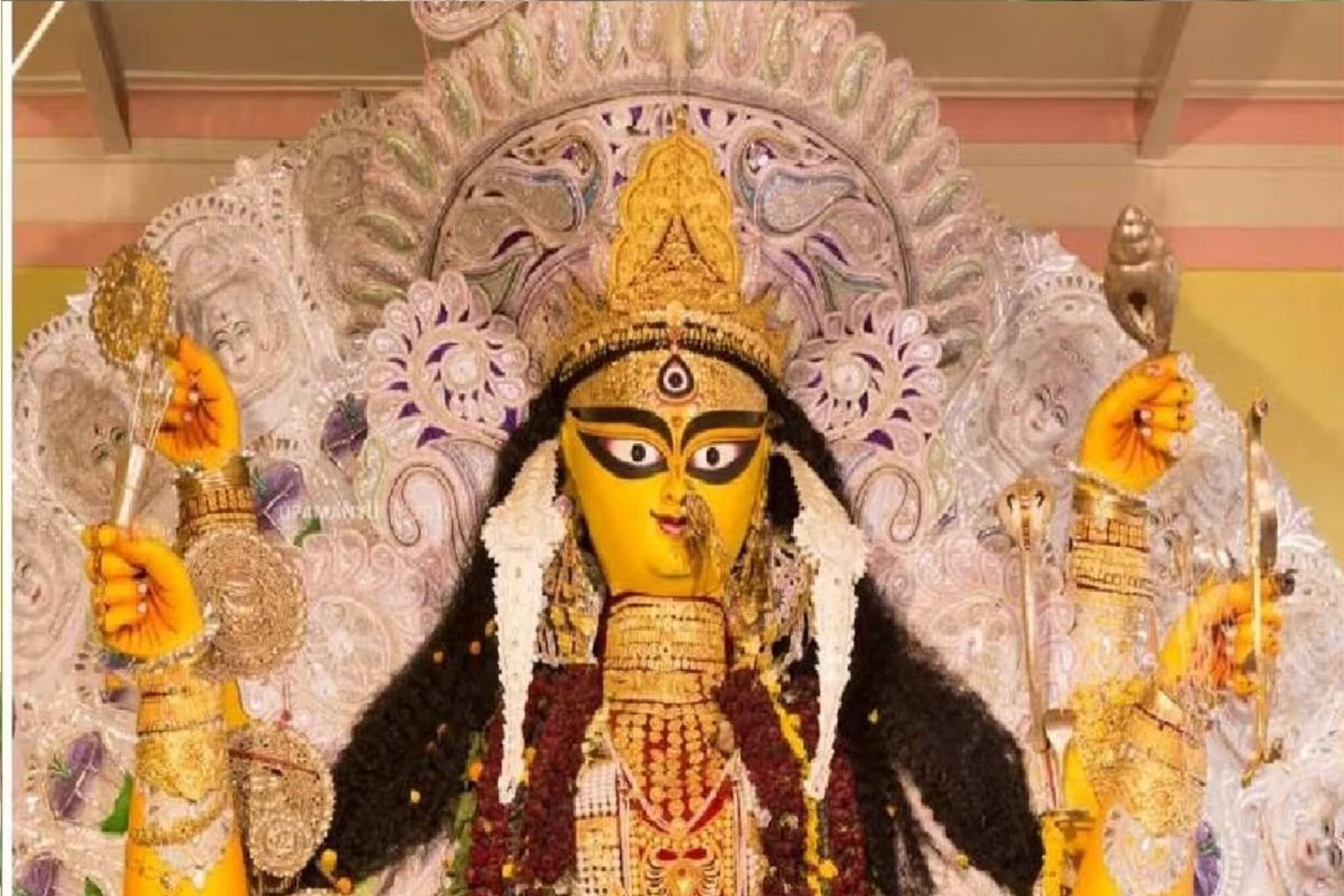 জগদ্ধাত্রী পুজোর বিসর্জনে মানুষের ঢল! শোভাযাত্রা দেখতে দুপুর থেকেই ভিড়! দেখুন