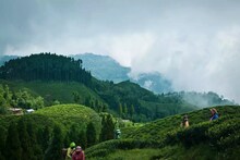 সাধ্যের মধ্যেই সাধপূরণ, উত্তরবঙ্গে এই এলাকা এখন বাংলা সুইৎজারল্যান্ড