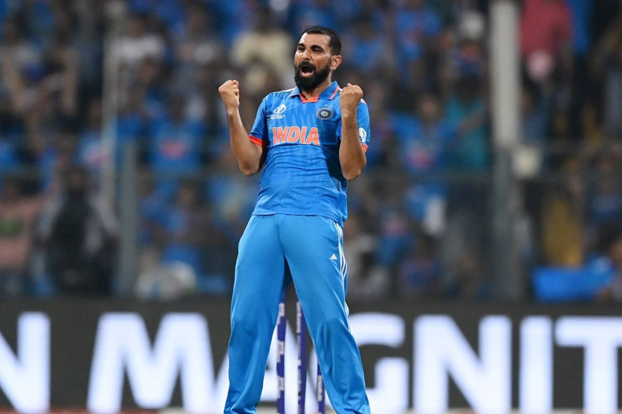 ভারত কেন বিশ্বকাপ ফাইনাল হারল? শামি বলে দিলেন আসল কারণ, দোষ কার?