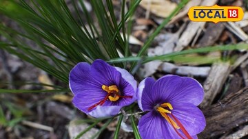 কালিম্পংয়ে