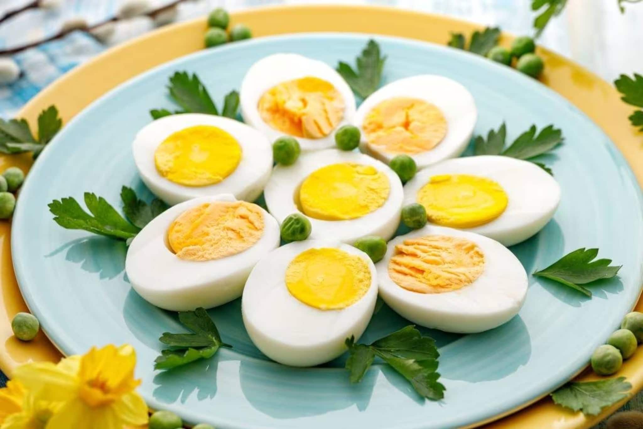 রোজ ডিম খাচ্ছেন? শরীরে কোনও বড় ক্ষতি হচ্ছে না তো, 'এই' ৩ রোগ থাকলে এখনই সাবধান!