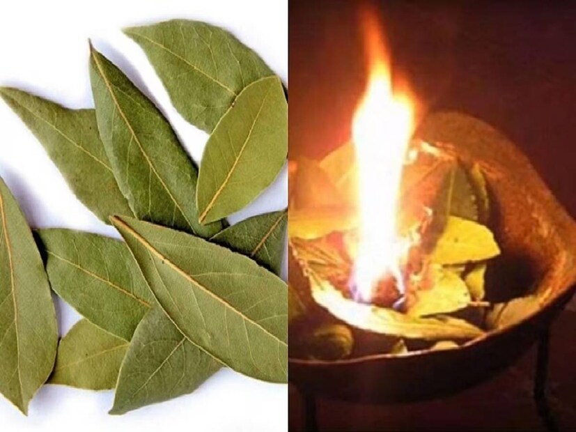 (Disclaimer: এই প্রতিবেদনে থাকা তথ্যের সত্যতা নিউজ ১৮ বাংলা নিশ্চিত করে না৷ প্রয়োজনে বিশেষজ্ঞের পরামর্শ নিন৷)