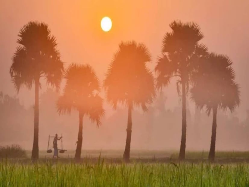 কলকাতায় আজ সকালে সর্বনিম্ন তাপমাত্রা ১৯.৪ ডিগ্রি সেলসিয়াস। স্বাভাবিক তাপমাত্রার থেকে ১ ডিগ্রি বেশি। গতকাল বিকেলে সর্বোচ্চ তাপমাত্রা ছিল ২৮.৮ ডিগ্রি সেলসিয়াস। স্বাভাবিক তাপমাত্রা। বাতাসে জলীয় বাষ্পের সর্বোচ্চ পরিমাণ ৪৬ থেকে ৯৪ শতাংশ। আগামী ২৪ ঘণ্টায় কলকাতা শহরে তাপমাত্রা থাকবে ২০ থেকে ২৯ ডিগ্রি সেলসিয়াস।