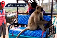 টোটোর যাত্রী  হনুমান! হাত তুলে করে আশীর্বাদ যাত্রীদের