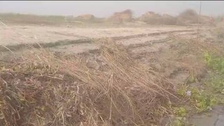 প্রতি বছরই বর্ষার মরশুমে প্লাবিত হয় গঙ্গা নদীর তীরবর্তী এলাকার জমি