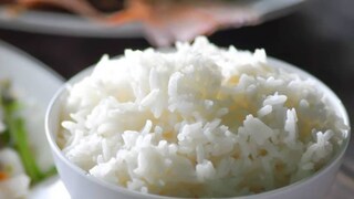 হরেক খাবারের সুযোগ থাকলেও অনেকেই দুপুরে ভাতই খেতে পছন্দ করেন