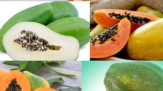 কাঁচা বা পাকা যে অবস্থাতেই খাই না কেন, উপকার প্রচুর