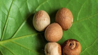 চেনা সুপুরির অচেনা দিকগুলি সামনে আসুক