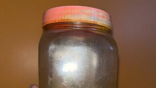 ফ্রিজের ভিতরে সাধারণ জায়গায় রাখার পর, দেখা গেল সম্পূর্ণ জমে গিয়েছে