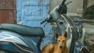 তার এই আচরণ ছুঁয়ে যায় সকলের মন