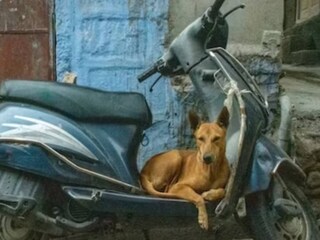 তার এই আচরণ ছুঁয়ে যায় সকলের মন
