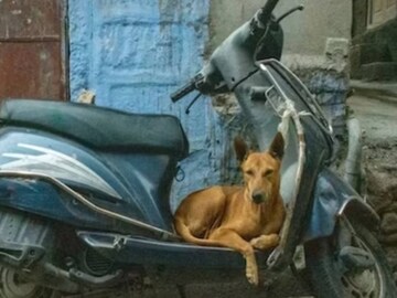 তার এই আচরণ ছুঁয়ে যায় সকলের মন