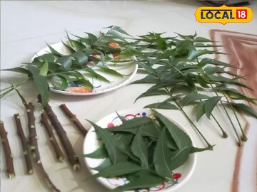 নিমপাতার