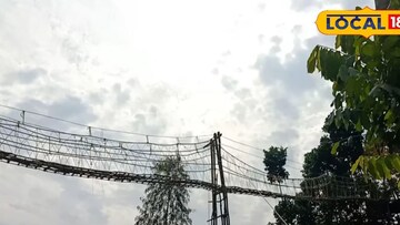 হংকংয়ের