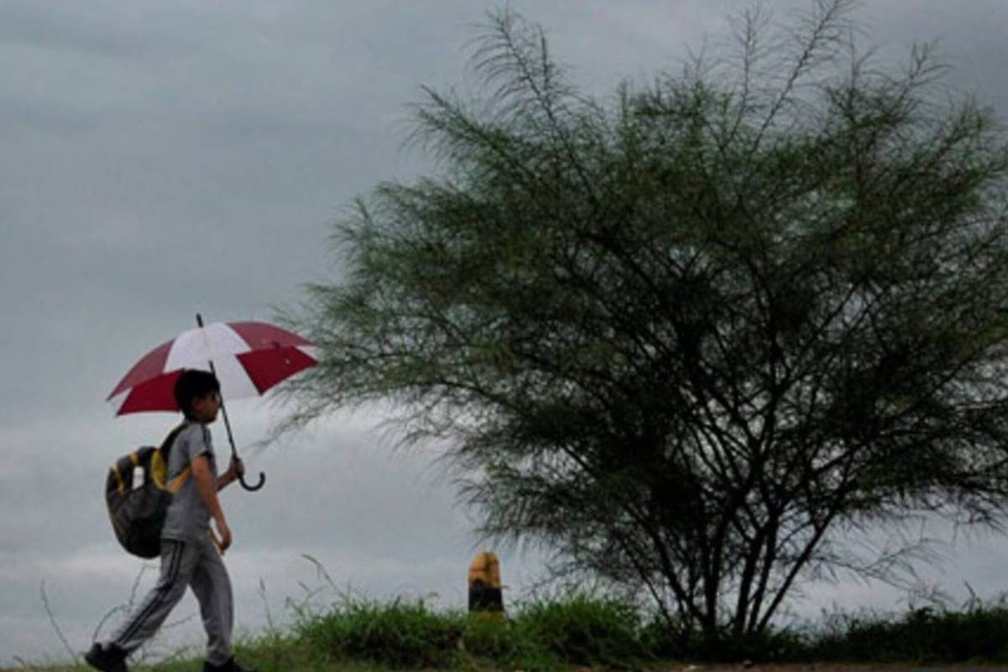 নিম্নচাপের বৃষ্টির তাণ্ডব ফের দক্ষিণবঙ্গ-সহ রাজ্যের জেলায়, কবে থেকে, দেখুন