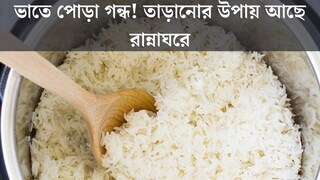কুকারে ভাত পুড়ে গিয়েছে? সহজেই কাটবে পোড়া গন্ধ! জেনে নিন সহজ উপায়