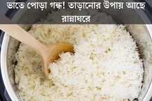 কুকারে ভাত পুড়ে গিয়েছে? সহজেই কাটবে পোড়া গন্ধ! জেনে নিন সহজ উপায়