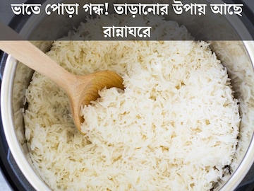 কুকারে ভাত পুড়ে গিয়েছে? সহজেই কাটবে পোড়া গন্ধ! জেনে নিন সহজ উপায়