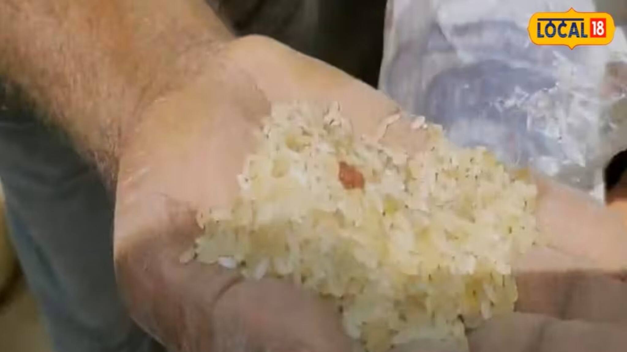 South 24 Parganas News: রেশনে চালের বস্তা থেকে বেরিয়ে এল আলু, পিঁয়াজ! তুলকালাম সাগরে