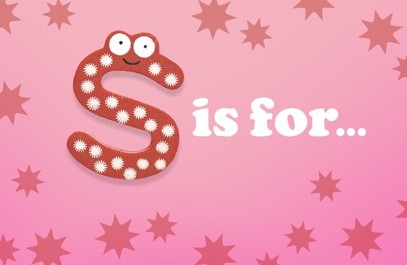 কাজ, কেরিয়ার এবং জীবন: যাঁদের নাম S অক্ষর দিয়ে শুরু হয়, তাঁরা যে কোনও ক্ষেত্রেই নিজের লক্ষ্য পূরণ করতে পারেন। স্বভাবের দিক থেকে এঁরা কঠোর পরিশ্রমী। সৃজনশীল এবং শৈল্পিক কাজে তাঁদের আগ্রহ হয় প্রবল। নিজেকে প্রকাশ করার সহজাত গুণ তাঁদের মধ্যে বর্তমান। শুধু তা-ই নয়, তুড়ি মেরে যে কোনও সমস্যার সমাধান করতে পটু তাঁরা। সহজেই সব কিছুর সমাধান তাঁদের কাছে পাওয়া যায়। নিজের লক্ষ্য পূরণ করার জন্য সদাপ্রস্তুত তাঁরা।