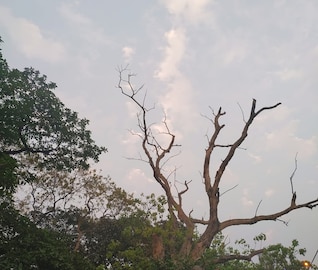 আগামী ২৪ ঘণ্টায় বঙ্গোপসাগরে নিম্নচাপ, বুধবার থেকে বৃষ্টির সম্ভাবনা