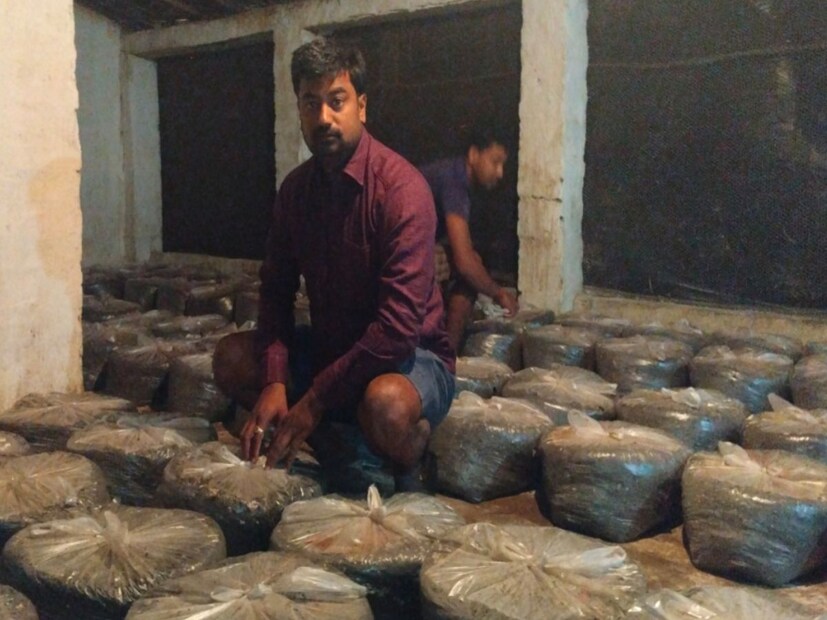 এই দুজনের নির্দেশনা অনুযায়ী মাশরুম চাষ শুরু করেন মুকুল। শীতকালে, বিশেষজ্ঞদের মতে মাশরুমের জন্য অনুকূল তাপমাত্রা থাকে। তিনি জানান, মাশরুম চাষে আড়াই থেকে তিন মাস সময় লাগে।