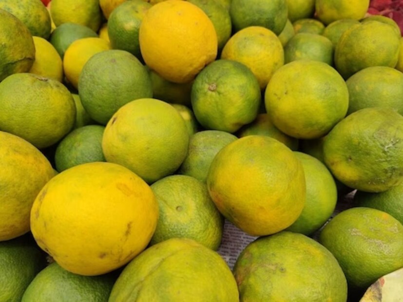 শীতের দিনে মৌসম্বী লেবু খাওয়া খুব ভাল। ঠান্ডার দিনে এই ফল শরীরে ইনফেকশনের বিরুদ্ধে লড়াই করার শক্তি জোগায়। আয়রন, ক্যালসিয়াম, পটাশিয়াম, ফসফরাস এবং ম্যাগনেসিয়ামের মতো পুষ্টি উপাদান মৌসুমি ফলগুলিতে থাকে। মৌসুমি ফলের প্রকৃতি ঠান্ডা হলেও রোদে বসে এই ফল খাওয়ার চেষ্টা করা উচিত। এতে করে শীতকালেও মৌসুমি ফল খেলে সংক্রমণ এড়ানো যায়। (দাবিত্যাগ: এই প্রতিবেদনটি কেবলমাত্র সাধারণ তথ্যের জন্য, তাই বিস্তারিত জানতে হলে সর্বদা বিশেষজ্ঞের পরামর্শ নিন।) 