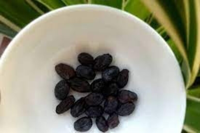 টক মিষ্টি স্বাদের এই কিশমিশ তৈরি হয় এক বিশেষ রকমের কালো আঙুর থেকে৷ কেক, ক্ষীর, বরফির মতো মিষ্টি খাবারে এই কিশমিশ দেওয়া যায়৷ খাওয়ার আগে এক রাত জলে ভিজিয়ে রাখলে সবথেকে ভাল৷ তাহলে অ্যান্টি অক্সিড্যান্ট বৈশিষ্ট্য বাড়ে৷ আয়ুর্বেদ শাস্ত্র অনুযায়ী, রোজ সকালে খালি পেটে আগের রাতে ভিজিয়ে রাখা কালো কিশমিশ খেতে হবে৷