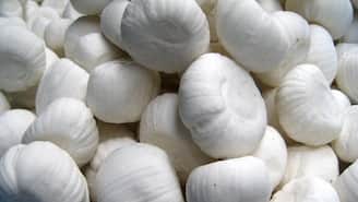 ময়নাগড়ের প্রাচীন রাসমেলার অন্যতম বৈশিষ্ট্য কদমা মিষ্টি