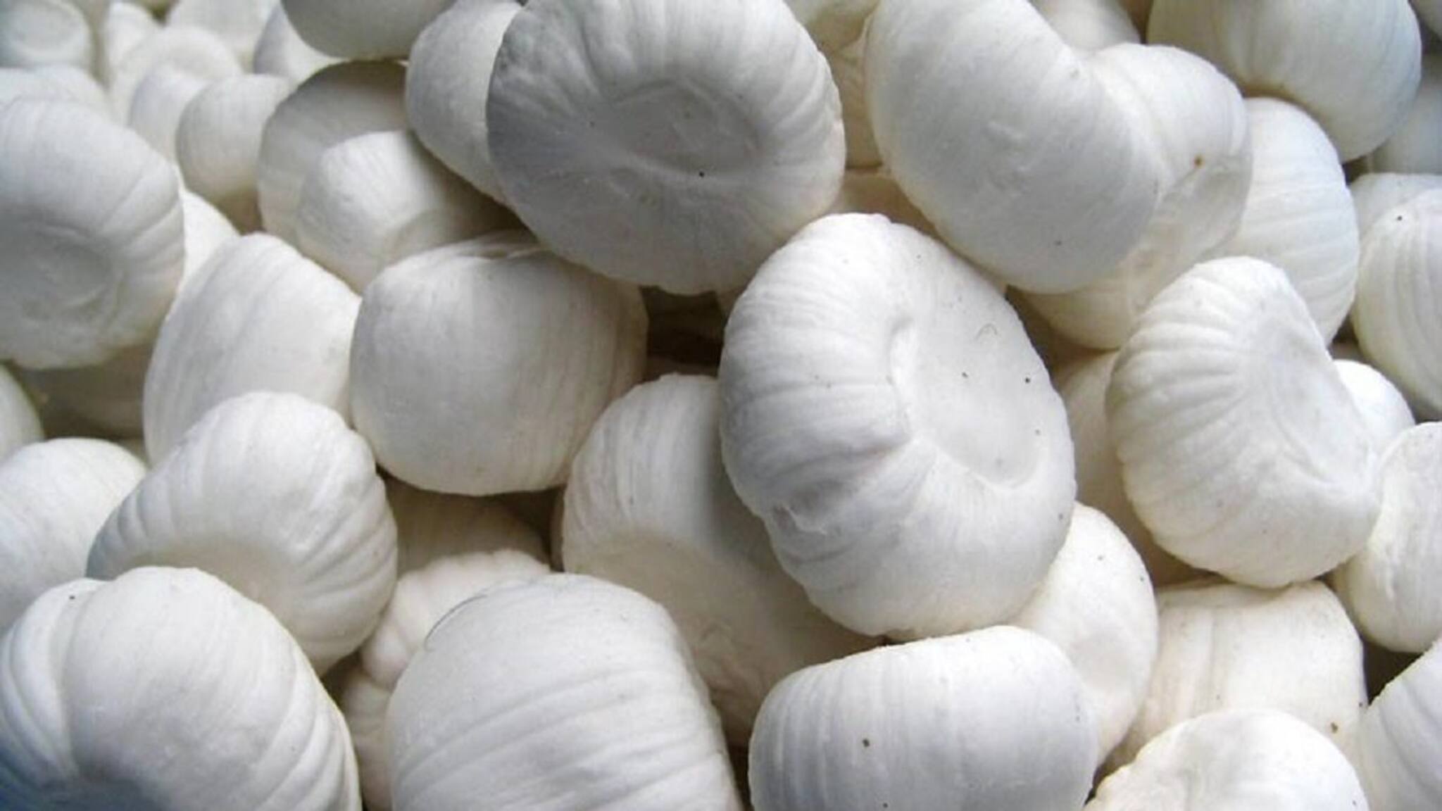 ময়নাগড়ের প্রাচীন রাসমেলার অন্যতম বৈশিষ্ট্য কদমা মিষ্টি