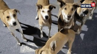 প্রতীকী ছবি