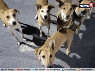 প্রতীকী ছবি