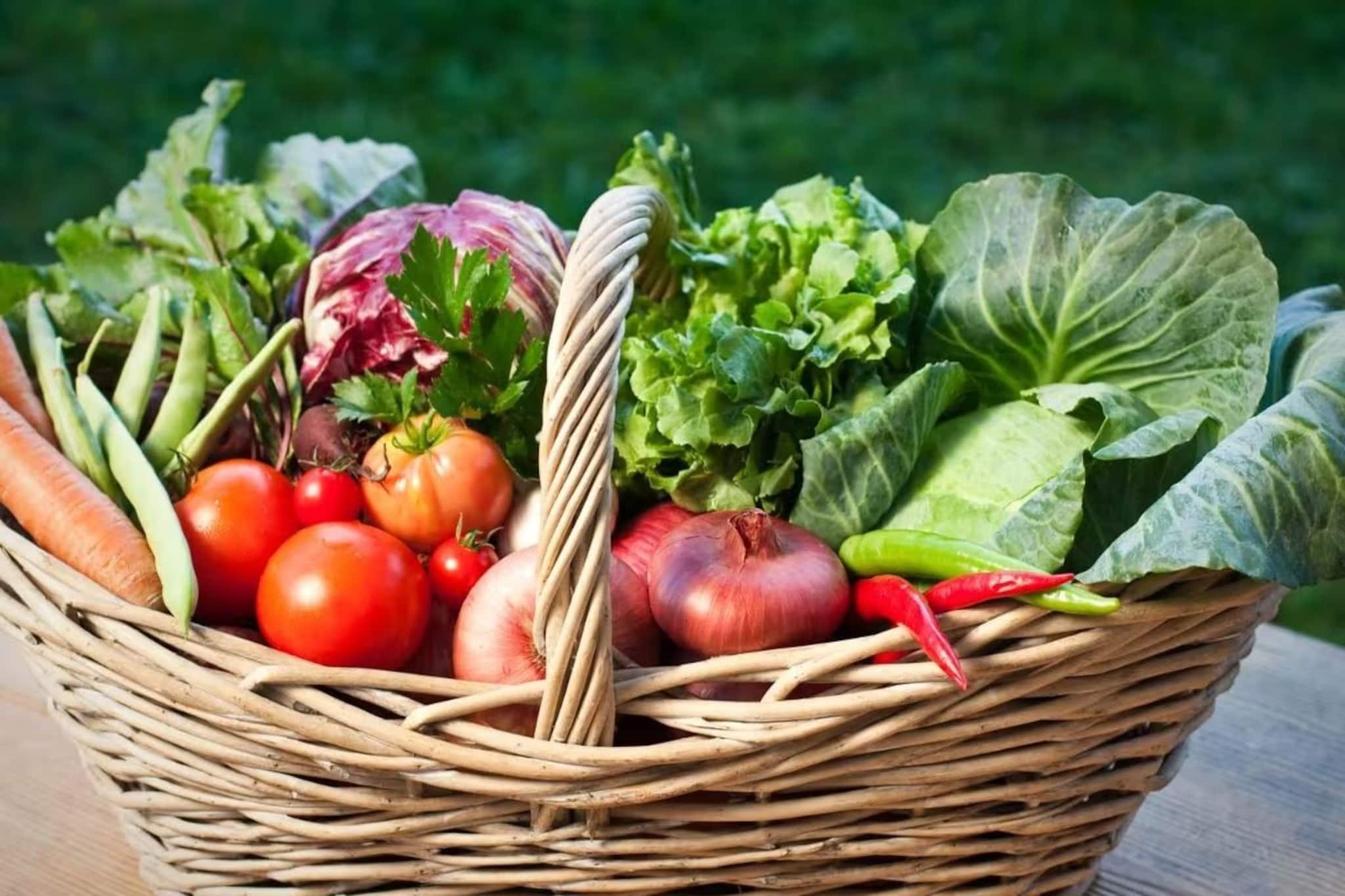 মাত্র ২০ টাকায় কমবে গ্যাস থেকে মাইগ্রেন! শুধু প্রতিদিন পাতে রাখুন এই মুশকিলাসান