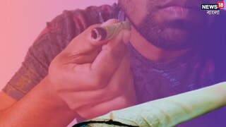 এই বিড়ি খেলেই কমবে কাশি! এই বিড়ি খেলেই কমবে কাশি!