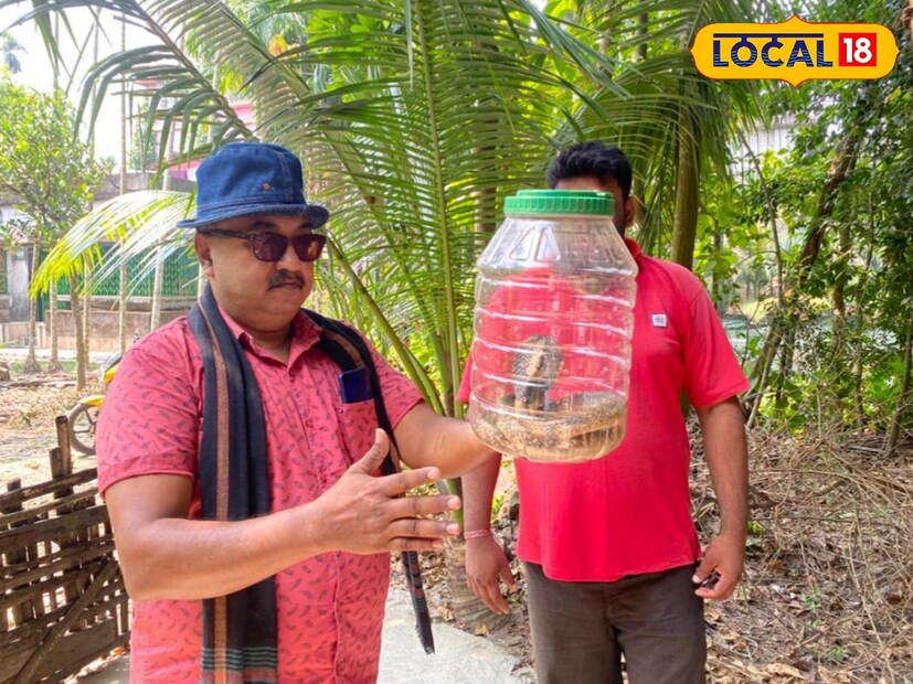 হঠাৎ বাড়িতে বিষাক্ত সাপ ঢুকে পড়েছে ভয় পাওয়ার দরকার নেই, কারণ সাপেরাও মানুষকে ভয় পায় । তাই জেনে নিন আপনার কি করনীয়।