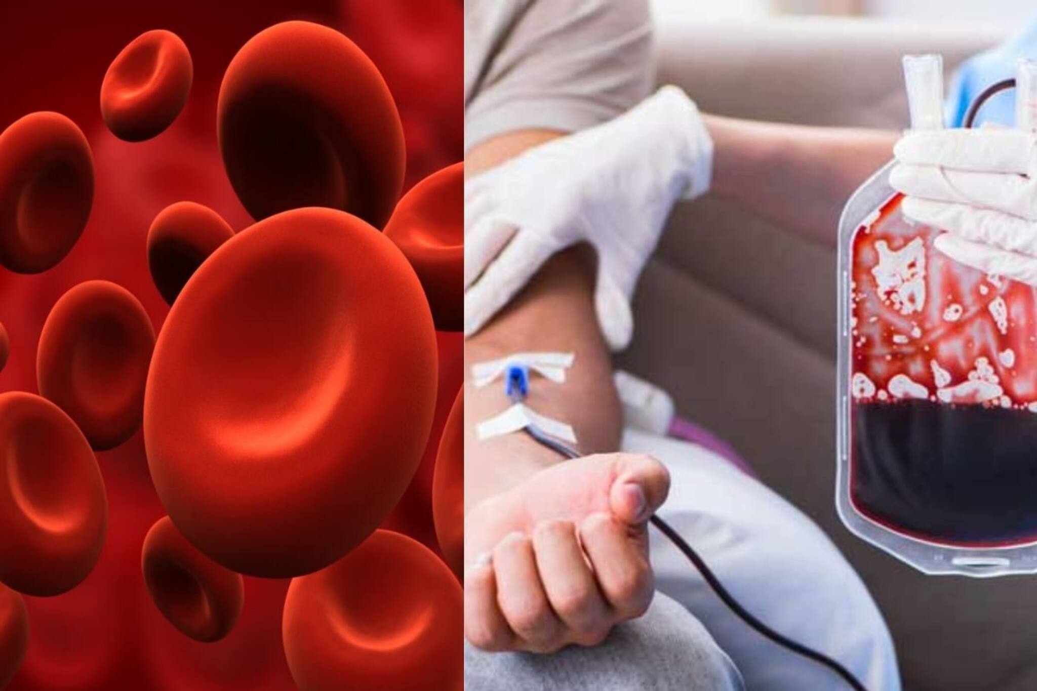 শক্তি এবং এনার্জিতে টগবগ করে ফুটবে শরীর; এক চামচ এই পাউডার সেবন করলেই হবে কামাল