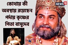 করতেন ঝাড়পোঁচ, ধুতেন কাপড়, ‘শ্রীকৃষ্ণ’ বদলাল ভাগ্য, পর্দার বাসুদেব আজ কী করছেন