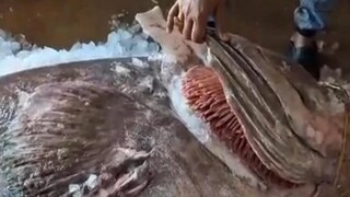 দিঘার সমুদ্রে এটা কী! দিঘার সমুদ্রে এটা কী!