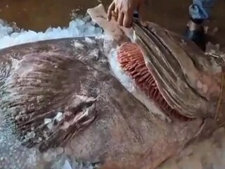 দিঘার সমুদ্রে এটা কী!