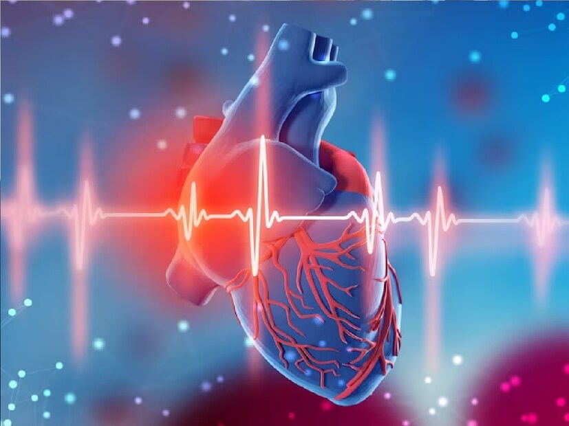 *হৃদরোগ প্রতিরোধ করে: ধনেপাতা খেলে শরীর থেকে অতিরিক্ত সোডিয়াম প্রস্রাবের মাধ্যমে বের হয়ে যায়। এতে শরীর ভেতর থেকে ফিট থাকে। নিয়মিত ধনেপাতা খেলে খারাপ কোলেস্টেরল শরীর থেকে নির্গত হয় এবং শরীরের রক্তচাপ নিয়ন্ত্রণে থাকে। এই কারণে তা আমাদের হৃদরোগ প্রতিরোধেও কাজে আসে। সংগৃহীত ছবি। 