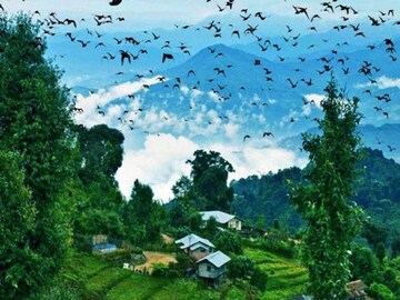 নামছে তাপমাত্রা, দার্জিলিং-কালিম্পংয়ে কত ঠান্ডা জানেন? পাহাড় সফরের আগে জানুন