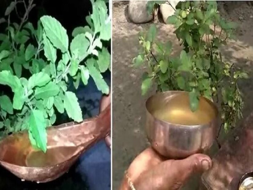 তবে শুধু তুলসী নয়, শালিগ্রামে জল নিবেদন করলে অত্যন্ত পুণ্য লাভ হয়৷ তাই তুলসী ও জল নিবেদন করুন একসঙ্গে৷ তাতে জীবনে শান্তি বজায় থাকবে৷ 