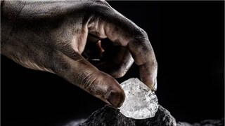 কলকাতার অদূরেই শুরু হয়েছে খোঁজাখুঁজি